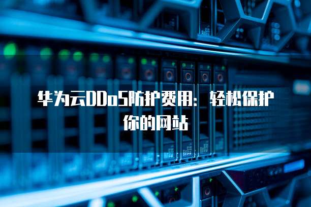华为云DDoS防护费用:轻松保护你的网站
