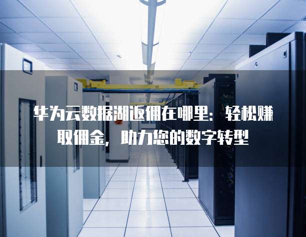 华为云数据湖返佣在哪里:轻松赚取佣金,助力您的数字转型
