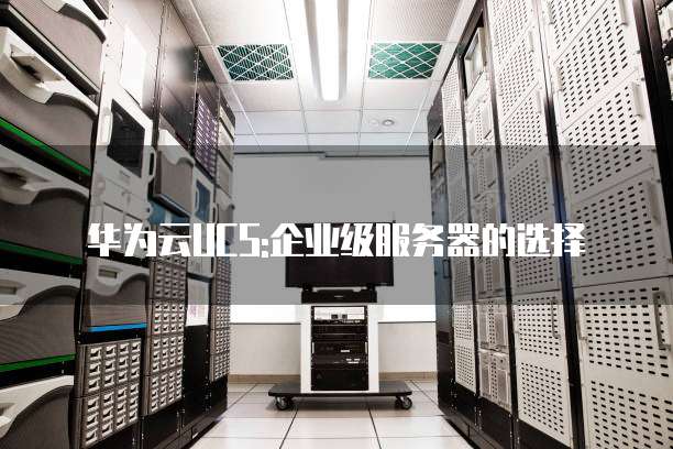 华为云UCS:企业级服务器的选择