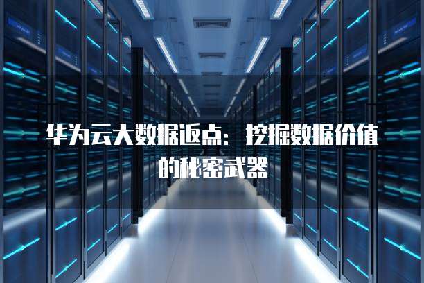 华为云大数据返点:挖掘数据价值的秘密武器