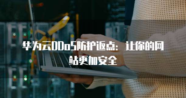 华为云DDoS防护返点：让你的网站更加安全