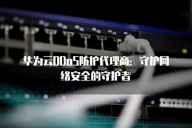 华为云DDoS防护代理商:守护网络安全的守护者
