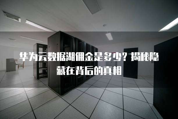 华为云数据湖佣金是多少?揭秘隐藏在背后的真相