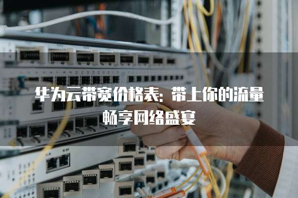 华为云带宽价格表: 带上你的流量畅享网络盛宴