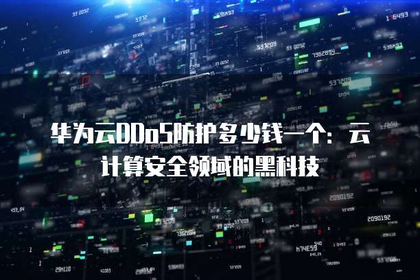 华为云DDoS防护多少钱一个:云计算安全领域的黑科技