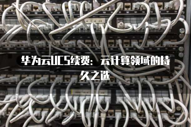 华为云UCS续费:云计算领域的持久之选