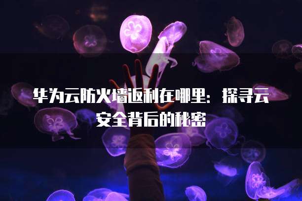华为云防火墙返利在哪里:探寻云安全背后的秘密