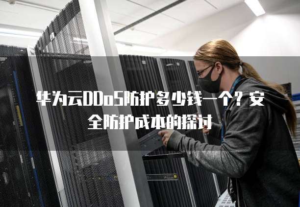 华为云DDoS防护多少钱一个?安全防护成本的探讨