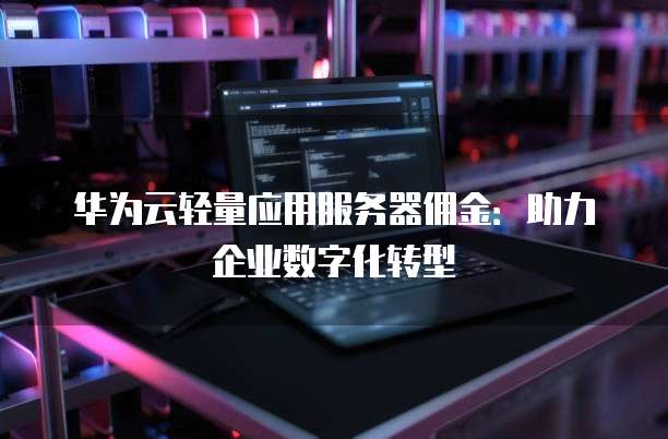 华为云轻量应用服务器佣金:助力企业数字化转型