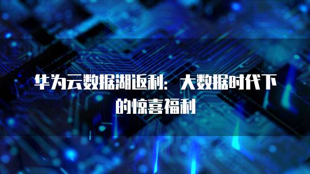 华为云数据湖返利：大数据时代下的惊喜福利