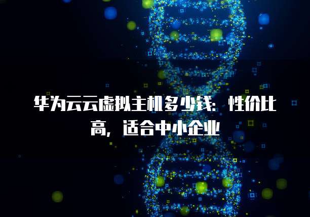 华为云云虚拟主机多少钱：性价比高，适合中小企业