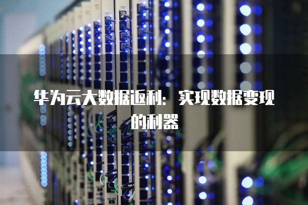 华为云大数据返利:实现数据变现的利器