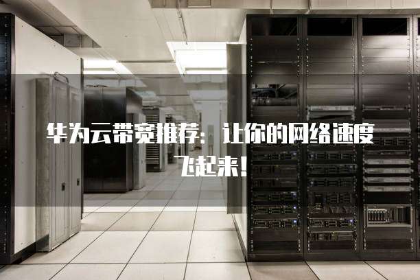 华为云带宽推荐:让你的网络速度飞起来!