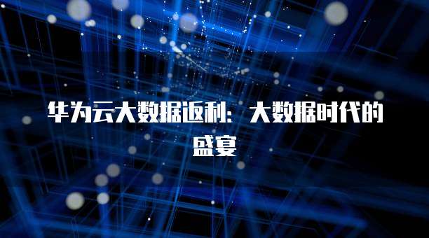 华为云大数据返利:大数据时代的盛宴