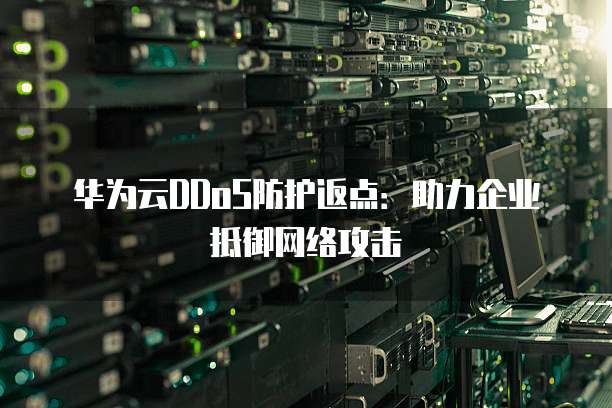 华为云DDoS防护返点:助力企业抵御网络攻击