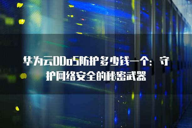 华为云DDoS防护多少钱一个：守护网络安全的秘密武器