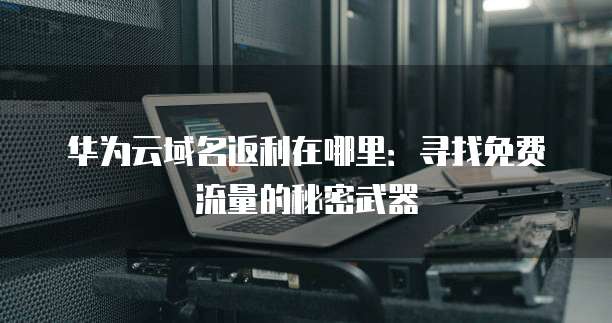 华为云域名返利在哪里:寻找免费流量的秘密武器