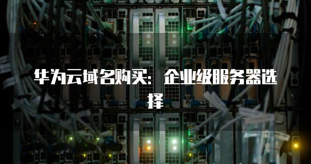 华为云域名购买:企业级服务器选择