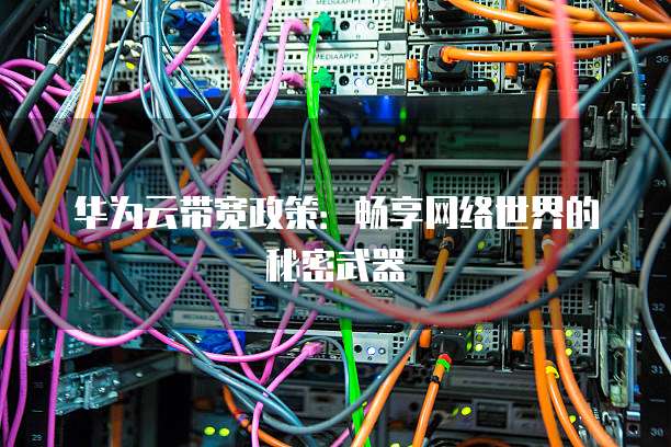 华为云带宽政策:畅享网络世界的秘密武器