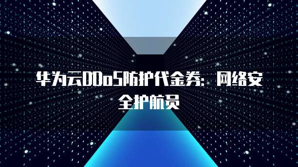 华为云DDoS防护代金券:网络安全护航员