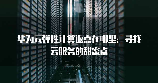 华为云弹性计算返点在哪里：寻找云服务的甜蜜点