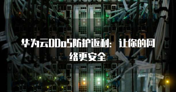 华为云DDoS防护返利:让你的网络更安全