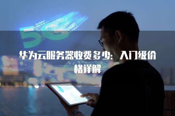 华为云服务器收费多少:入门级价格详解