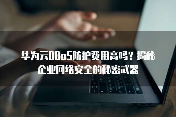 华为云DDoS防护费用高吗?揭秘企业网络安全的秘密武器
