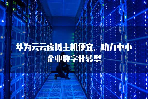 华为云云虚拟主机便宜,助力中小企业数字化转型