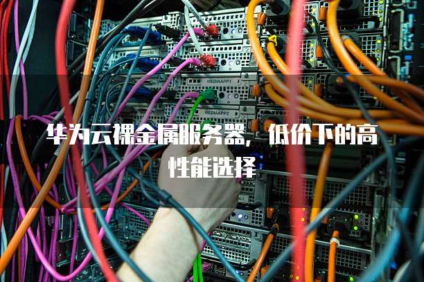 华为云裸金属服务器,低价下的高性能选择