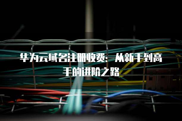 华为云域名注册收费:从新手到高手的进阶之路
