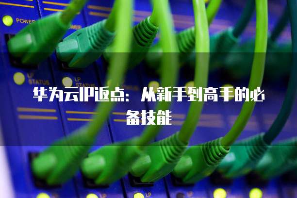 华为云IP返点：从新手到高手的必备技能