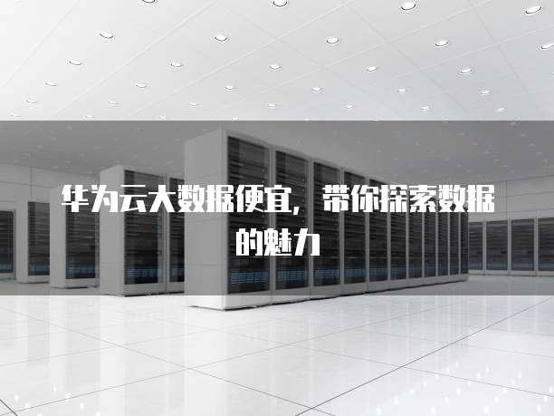 华为云大数据便宜,带你探索数据的魅力