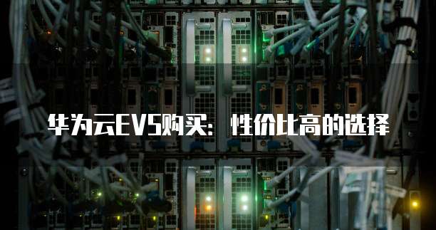 华为云EVS购买：性价比高的选择