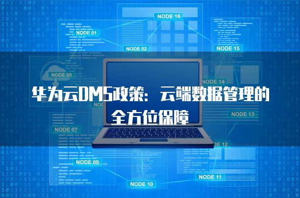 华为云DMS政策:云端数据管理的全方位保障