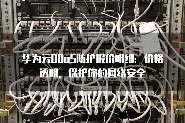华为云DDoS防护报价明细:价格透明,保护你的网络安全