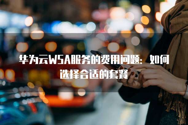 华为云WSA服务的费用问题:如何选择合适的套餐