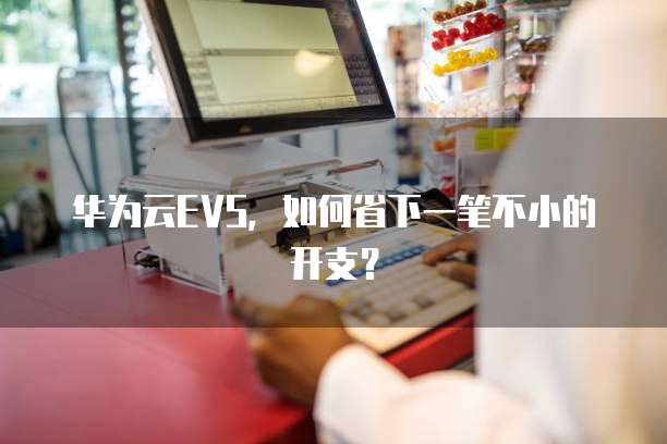 华为云EVS,如何省下一笔不小的开支?