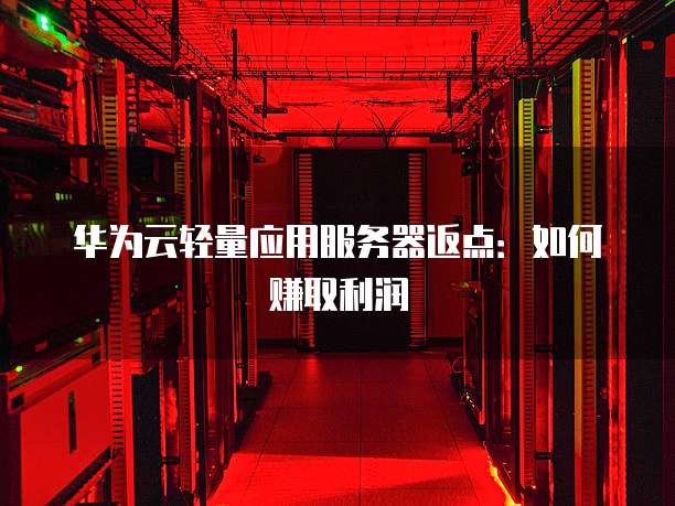 华为云轻量应用服务器返点:如何赚取利润