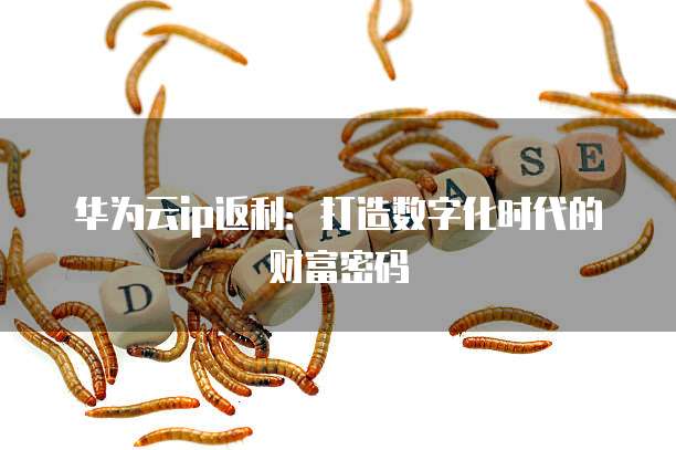 华为云ip返利:打造数字化时代的财富密码