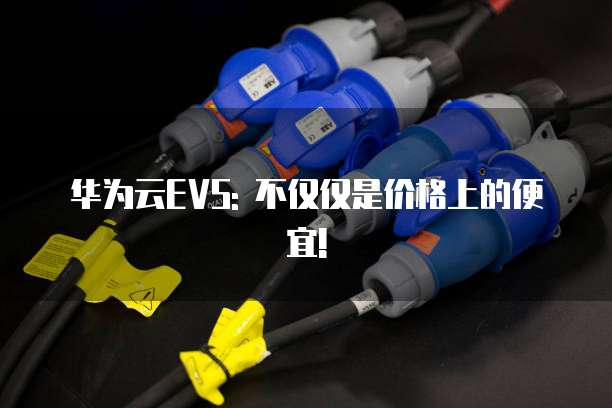 华为云EVS: 不仅仅是价格上的便宜!