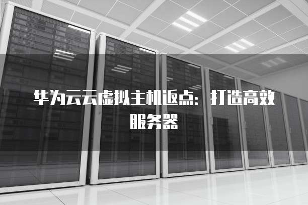 华为云云虚拟主机返点：打造高效服务器