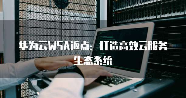 华为云WSA返点：打造高效云服务生态系统