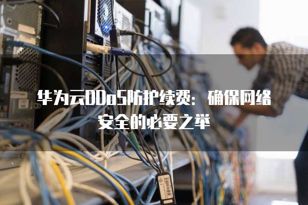 华为云DDoS防护续费:确保网络安全的必要之举