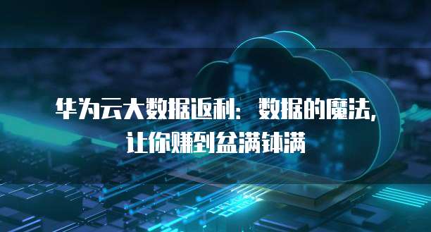 华为云大数据返利:数据的魔法,让你赚到盆满钵满