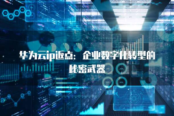 华为云ip返点：企业数字化转型的秘密武器