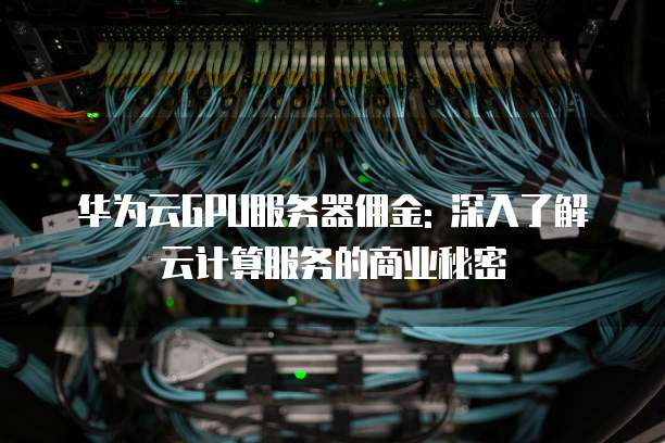 华为云GPU服务器佣金: 深入了解云计算服务的商业秘密