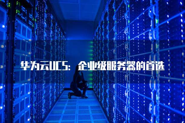 华为云UCS:企业级服务器的首选