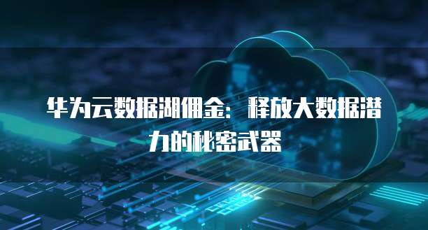 华为云数据湖佣金:释放大数据潜力的秘密武器