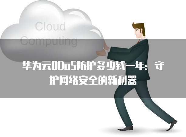 华为云DDoS防护多少钱一年:守护网络安全的新利器